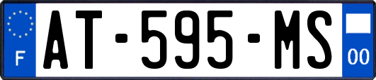 AT-595-MS