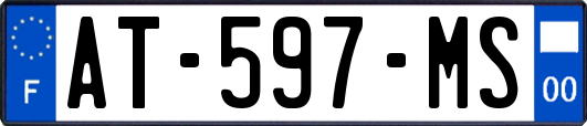 AT-597-MS