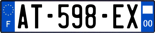 AT-598-EX