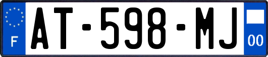 AT-598-MJ