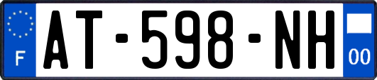 AT-598-NH