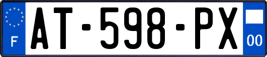 AT-598-PX