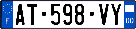 AT-598-VY