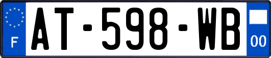 AT-598-WB