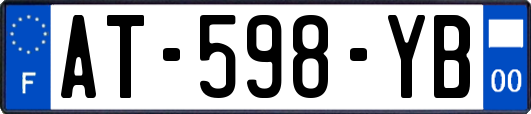 AT-598-YB