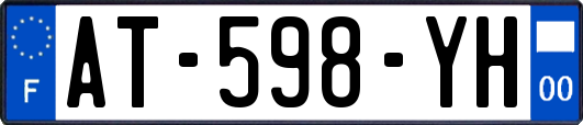 AT-598-YH