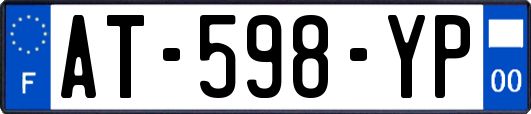 AT-598-YP