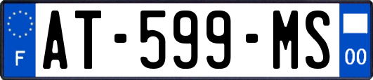 AT-599-MS