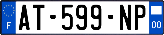 AT-599-NP