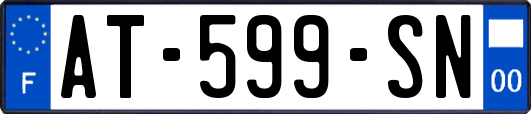 AT-599-SN