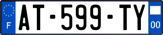 AT-599-TY