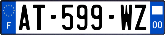 AT-599-WZ