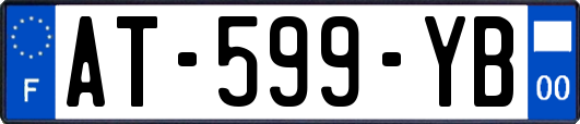 AT-599-YB