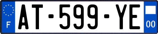 AT-599-YE
