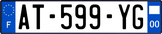 AT-599-YG