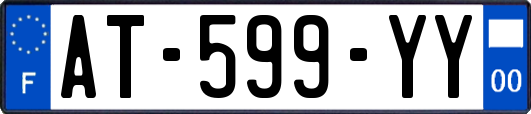 AT-599-YY