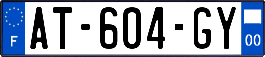 AT-604-GY