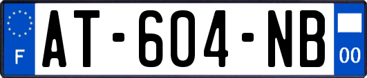 AT-604-NB