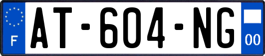 AT-604-NG