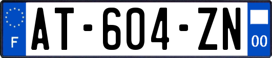 AT-604-ZN