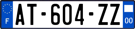 AT-604-ZZ