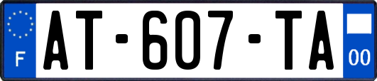 AT-607-TA