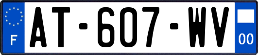 AT-607-WV