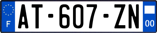 AT-607-ZN