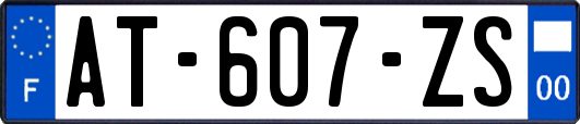 AT-607-ZS