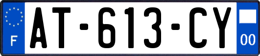 AT-613-CY