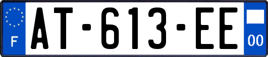 AT-613-EE