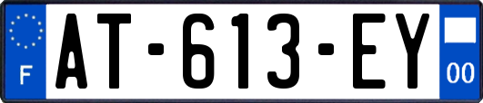 AT-613-EY