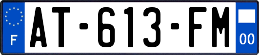 AT-613-FM