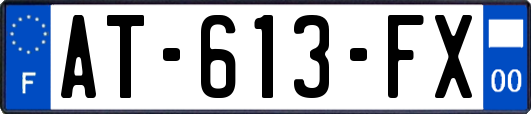 AT-613-FX
