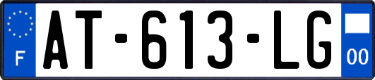 AT-613-LG