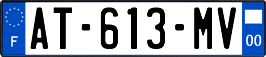 AT-613-MV