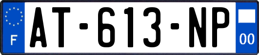 AT-613-NP