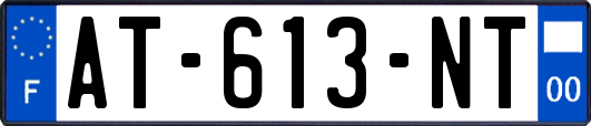 AT-613-NT