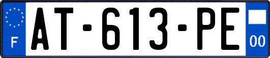 AT-613-PE