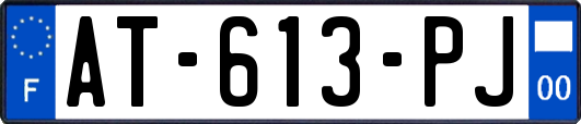 AT-613-PJ