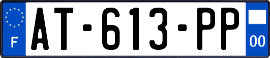 AT-613-PP