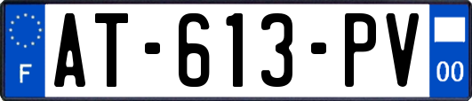 AT-613-PV