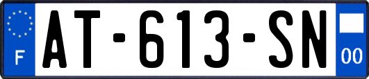 AT-613-SN