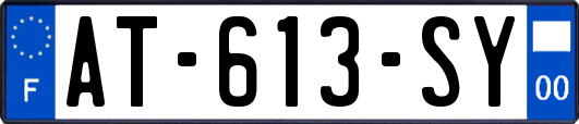 AT-613-SY