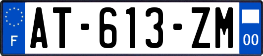 AT-613-ZM