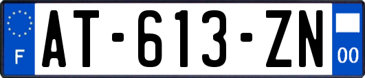 AT-613-ZN