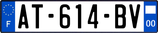 AT-614-BV