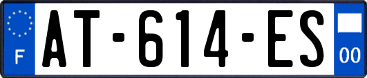 AT-614-ES