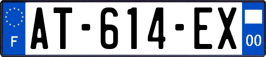 AT-614-EX