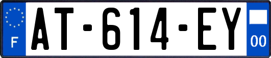 AT-614-EY